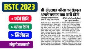 Rajasthan BSTC 2023 Application form