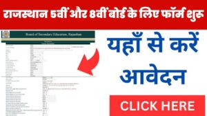 Rajasthan 5th 8th Class Online Form 2024