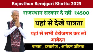 Rajasthan Berojgari Bhatta 2023 : राजस्थान सरकार द्वारा सभी बेरोजगारों को मिलेंगे ₹4500 , यहां से इस फॉर्म को भरें